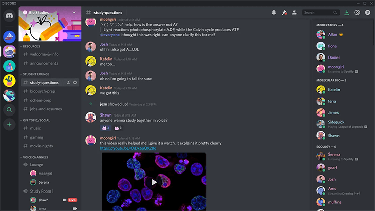 Dao diện Discord